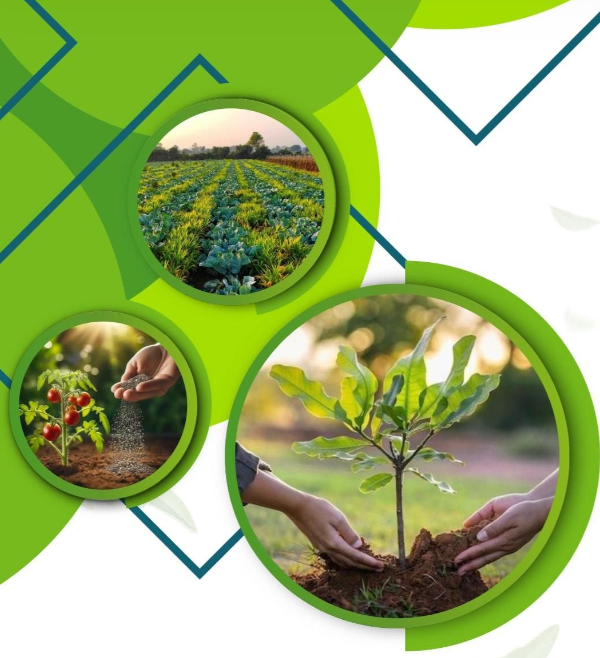 Fertilizers & Crop Protection exported from Egypt by Route Export
