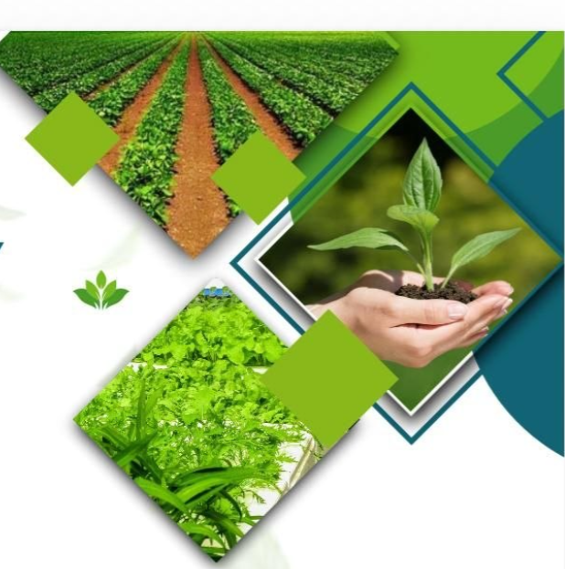 Agricultural Fertilizers exported from Egypt by Route Export